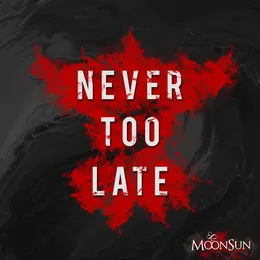 Never too late von MoonSun – Cover