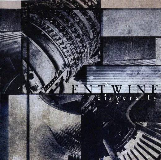 diEversity von Entwine – Album Cover