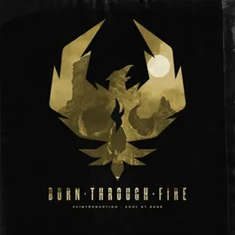 Reintroduction - Bone by Bone von Born Through Fire – Cover
