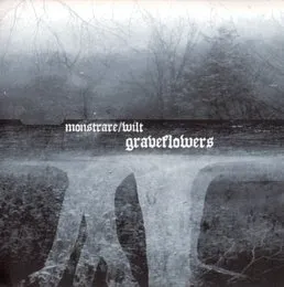 Graveflowers von Wilt – Album Cover