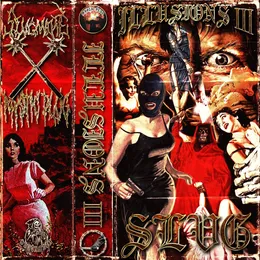 ILLUSIONS III von SLVG – Album Cover
