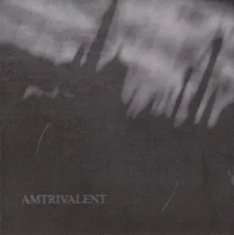 Amtrivalent von Fliegend – Album Cover