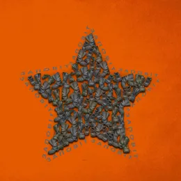 Zapovit von Галлі Рей – Cover