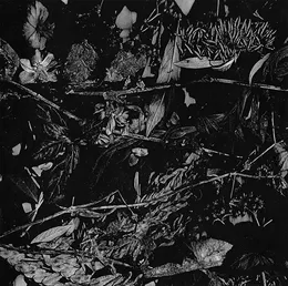 Dede Kondre von Turia – Album Cover