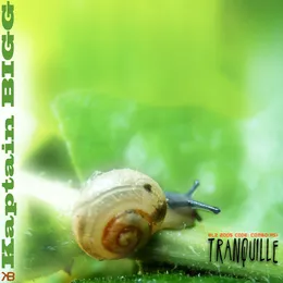 Tranquille von Kaptain Bigg – Album Cover