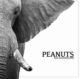 Peanuts von Griffen – Cover