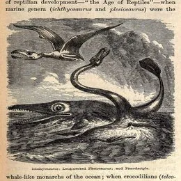 Jaa von Brontosaurus – Cover