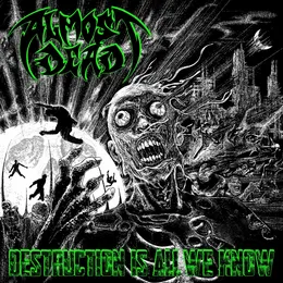 Destruction Is All We Know von Almost Dead – Album Cover
