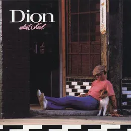 Velvet & Steel von Dion – Album Cover
