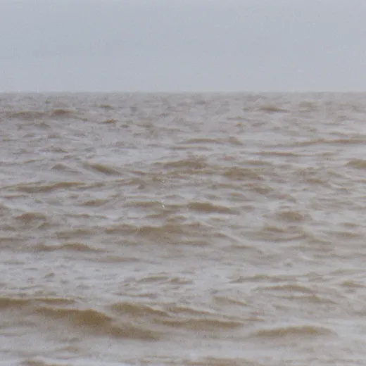 Wild Sea