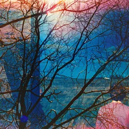 Idlewild von Idlewild – Album Cover