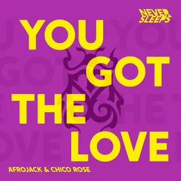 You Got the Love (Chico Rose remix) von Chico Rose – Cover