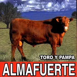 Toro y pampa von Almafuerte – Album Cover