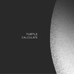 Calculate von Turtle – Album Cover