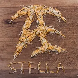 Stella von Arch Echo – Cover