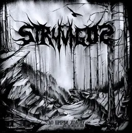 До прірви холоду von Stryvigor – Cover