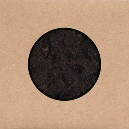 Birthing von Swans – Album Cover