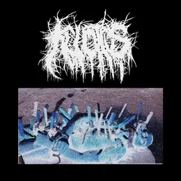 Demo von Kuvotus – Album Cover