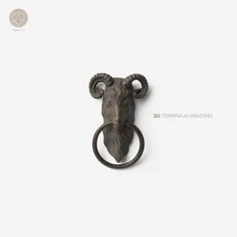 Terminalia amazonia von Zu – Album Cover
