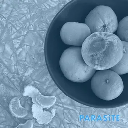 Parasite von Cell Rot – Cover