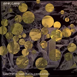 Beautiful, Beautiful Desolation von Apollo80 – Album Cover