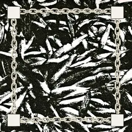 Because of the Weak von Fret – Album Cover