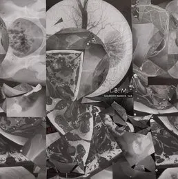 I.B.M. von Maurizio Bianchi – Album Cover