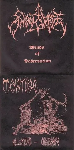 Winds of Desecration / Hellstorm – Chaosrape von Angelcorpse – Cover