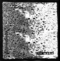 Something That No One Else Could Bring von The Wake – Cover