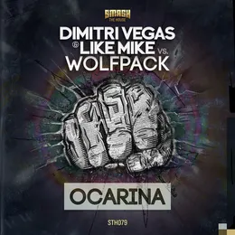 Ocarina von Wolfpack – Cover