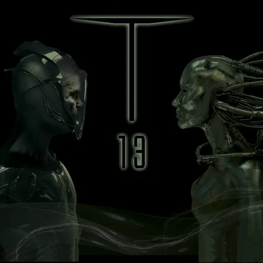 T‐13