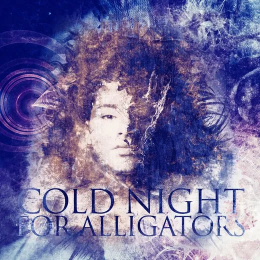 Transitions von Cold Night for Alligators – Album Cover
