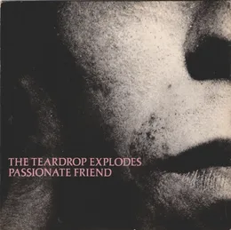 Passionate Friend von The Teardrop Explodes – Cover