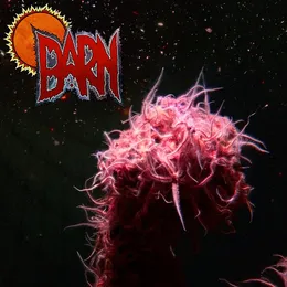 Barn von Barn – Album Cover