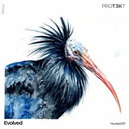 Hunted EP von Evolved – Cover