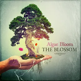The Blossom von Algae Bloom – Album Cover