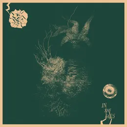 "In the Falls"* von Aaron Turner – Album Cover