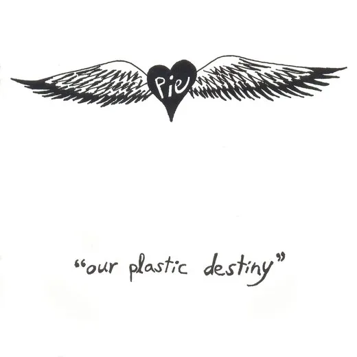 Our Plastic Destiny