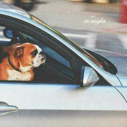 Passenger von In Angles – Album Cover