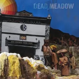 The Nothing They Need von Dead Meadow – Album Cover