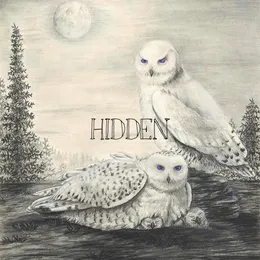 HIDDEN von RONEN – Cover