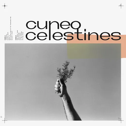 Celestines