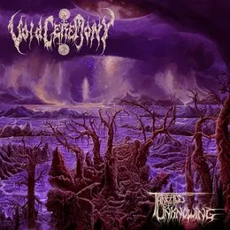 Abyssic Knowledge Bequeathed von VoidCeremony – Cover
