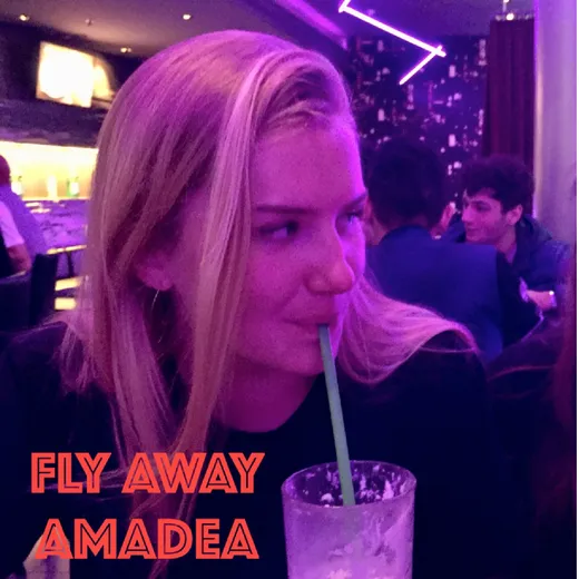 Fly Away