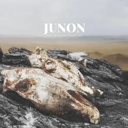 The Shadows Lengthen von Junon – Cover