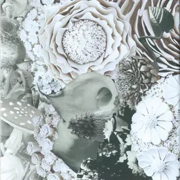 Split von Amitié – Cover