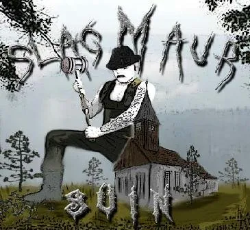 Svin