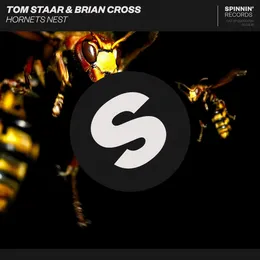 Hornets Nest von Tom Staar – Cover