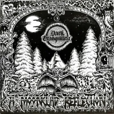 A Moonclad Reflection von Dark Tranquillity – Album Cover