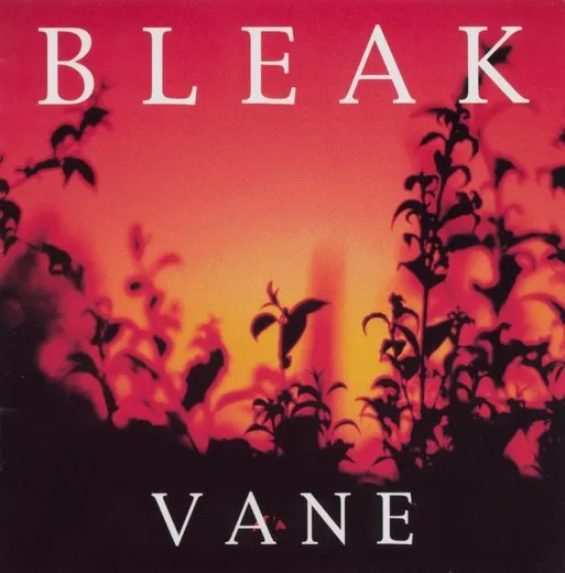 Vane